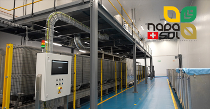 Kernel conditioning using NAPASOL pasteurisation