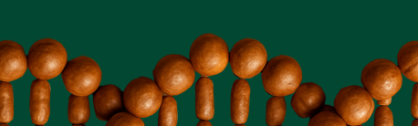 Macadamias on a green background