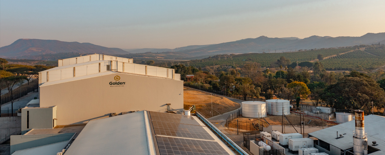Golden Macadamias facility