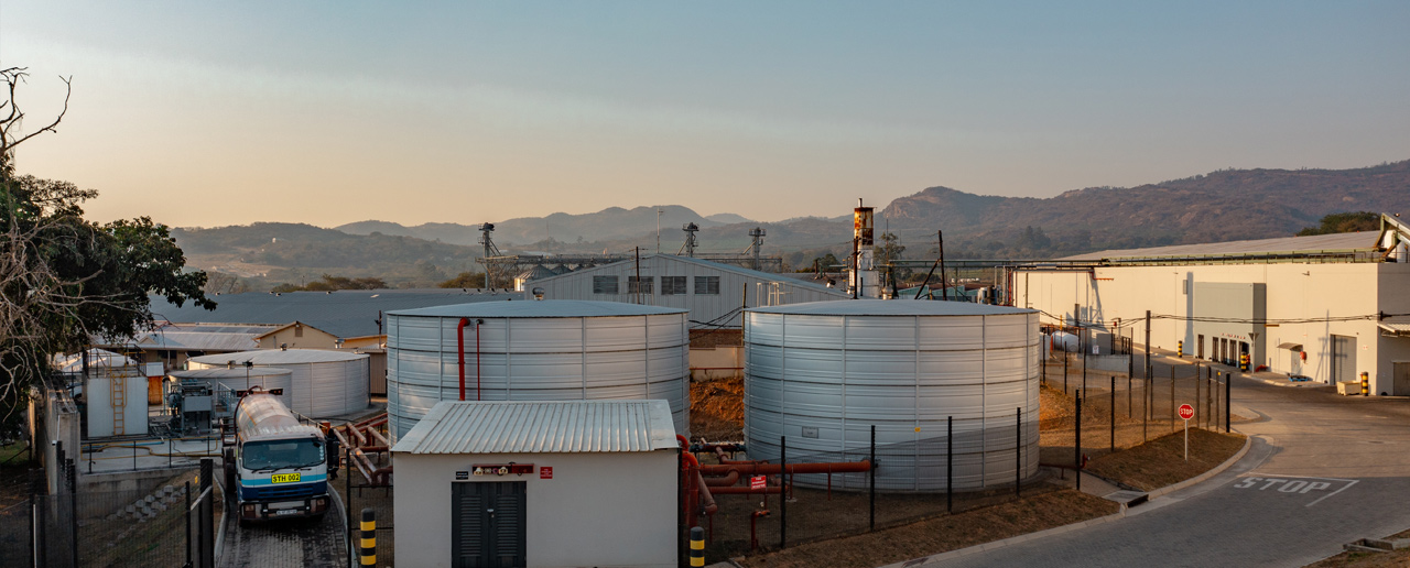 Golden Macadamias facility