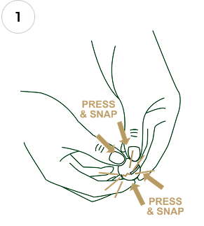 Pile of macadamia nuts