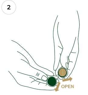 Pile of macadamia nuts