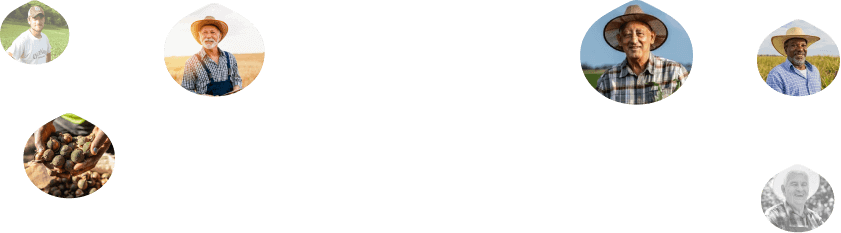 Golden Macadamias farmer collage