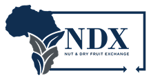 NDX Company Logo
